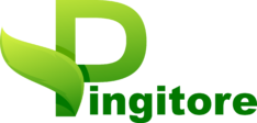 Pingitore Azienda Agricola
